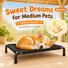 Elevated Pet Bed for Dogs, Washable Dog Bed for Small, Medium, Large & XL Puppies, Breathable Mesh Dog Bed