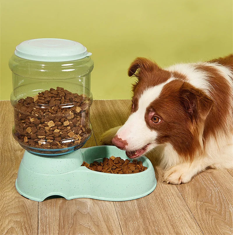 Cat and Dog Feeders Pet Water Dispensers Large Water Storage Capacity Dispensers Pet Automatic Water Dispensers Anti Knock