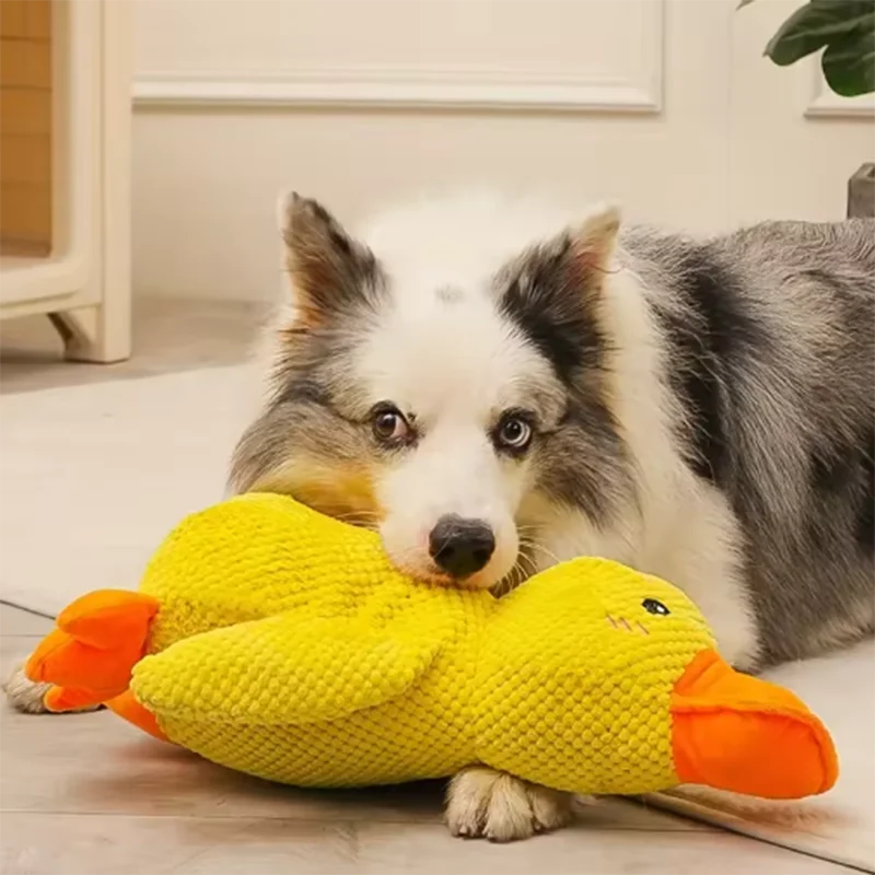 Cuddly Yellow Duck Squeak Toy