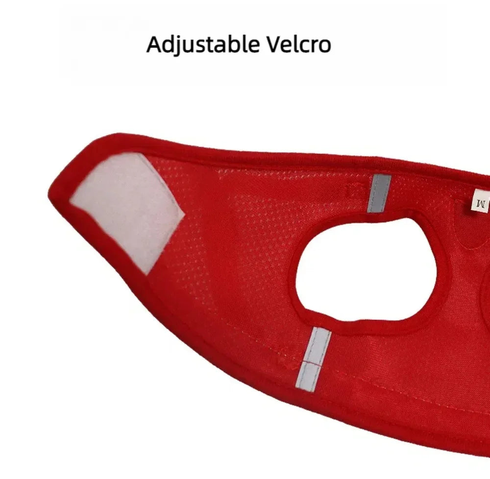 Escape-Proof Mesh Cat Harness Set