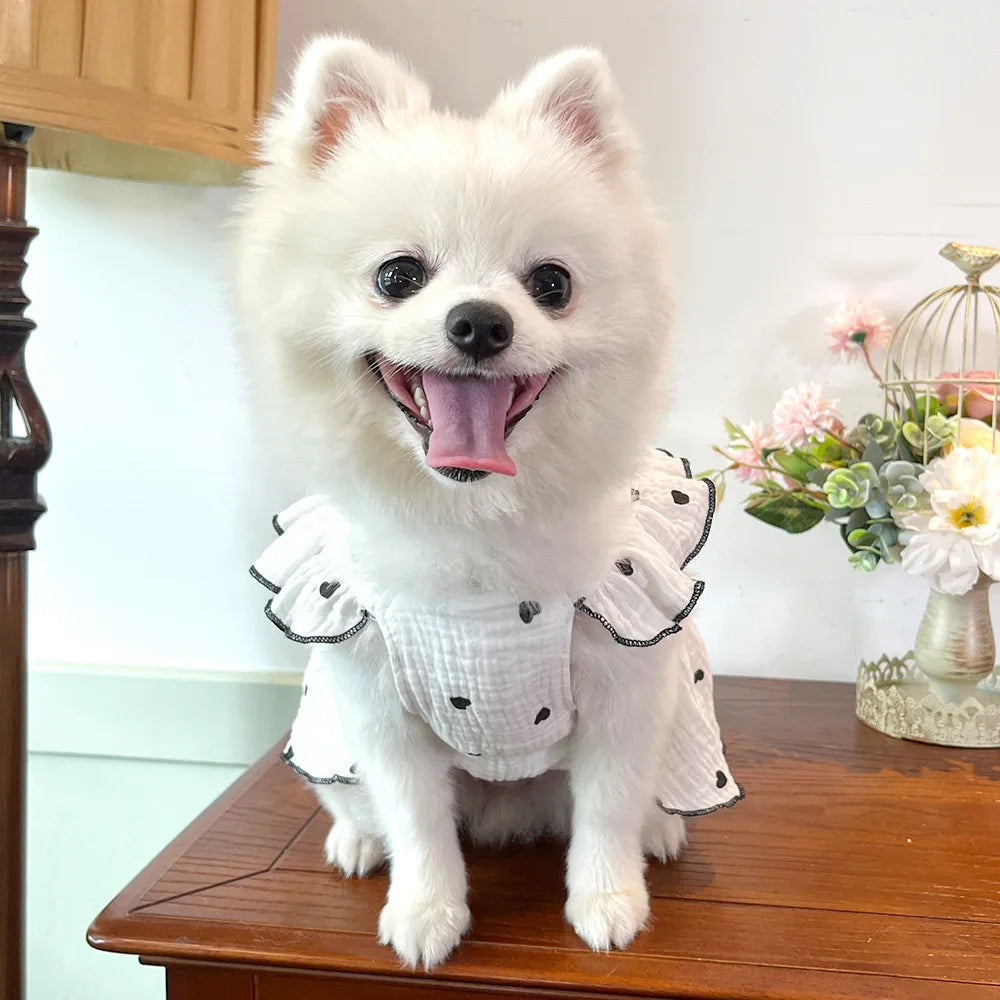 Sweet Cotton Pet Skirt Dress