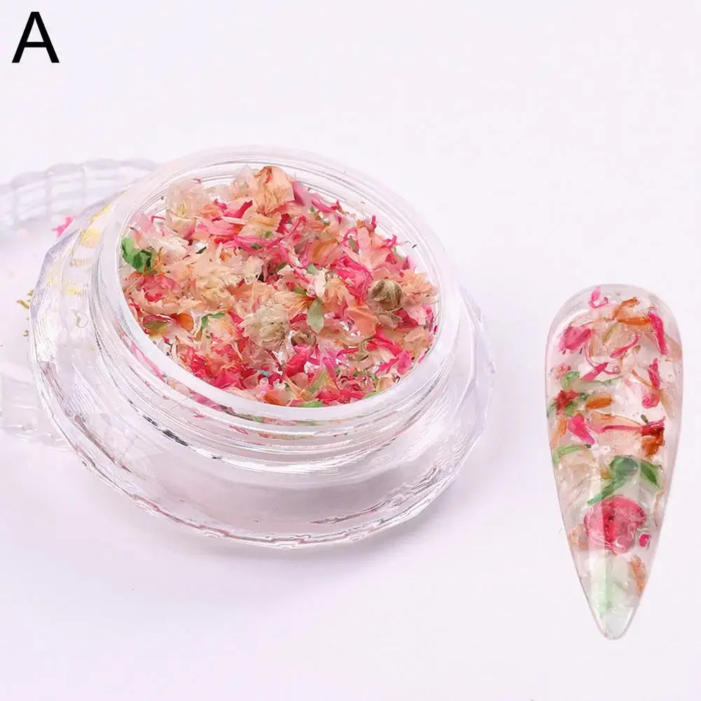 Nail Art Dried Flower Decoration Nail DIY Manicure For Nails Art Jewelry Flower Beauty Salon Decoration E3C5