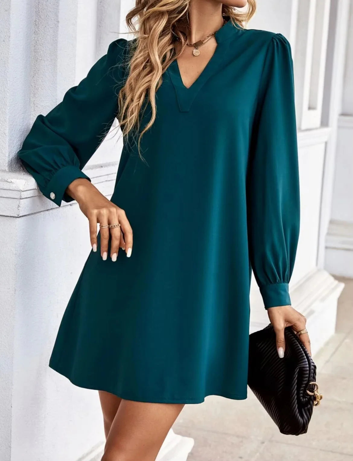 V-Neck Long Sleeve Mini Dress