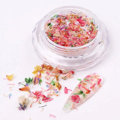 Nail Art Dried Flower Decoration Nail DIY Manicure For Nails Art Jewelry Flower Beauty Salon Decoration E3C5