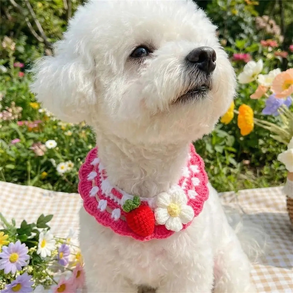 Pet Accessories Adjustable Flower Pet Scarf Bib Sweet Handmade Cat Strawberry Collar Decorative Cozy Cat Woven Bib Photo Shoots