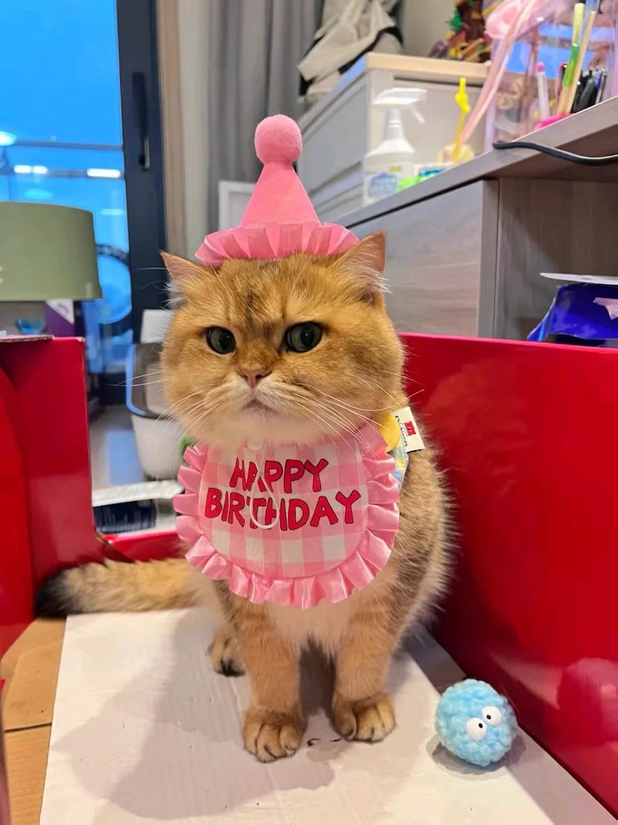Pet Hat & Bib Set for Cats Birthday , Kitty Party Dress-up Costume Accessories, Adjustable Bandana Photo Props for Celebration