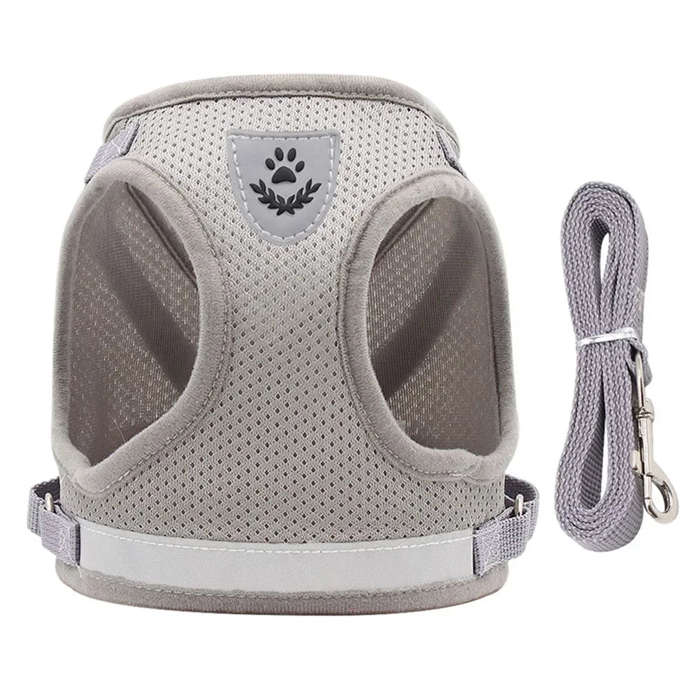 Escape-Proof Mesh Cat Harness Set