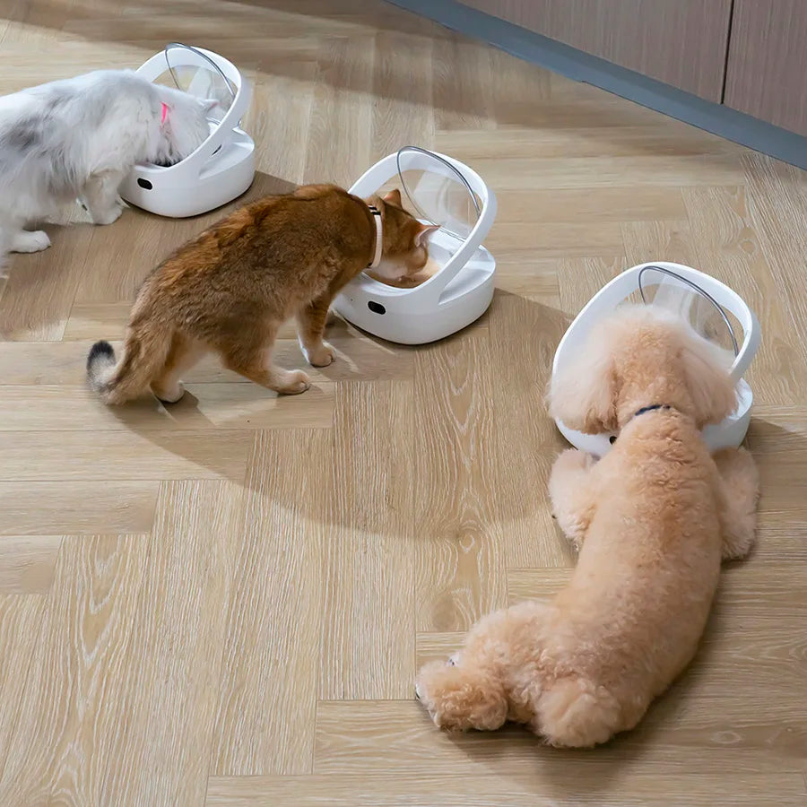 New Petoneer NutriCare Feeder Tailored For Multi-Pet Households Pet feeder Cat And Dog Feeder With App