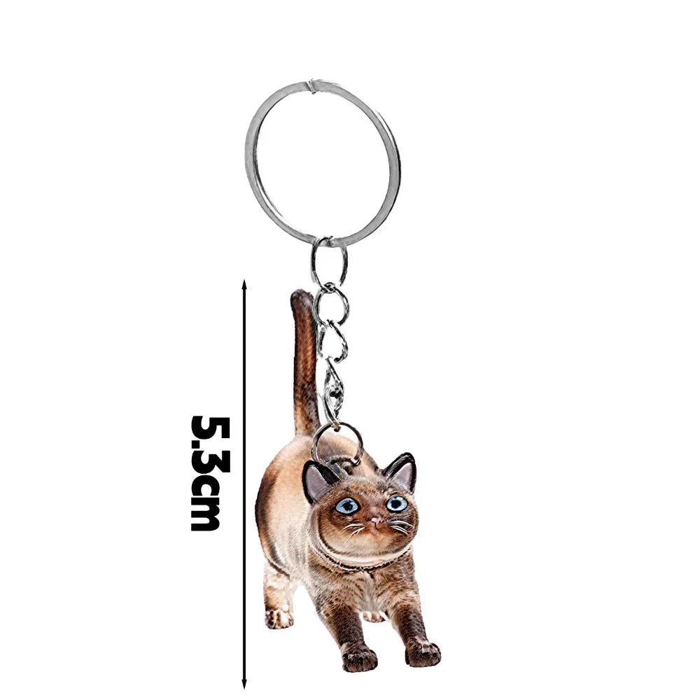 New Cat Hair Storage Keychain Bag Pendant Transparent Pet Fur Keepsake Capsule Souvenir Collection Gift Decoration Accessories