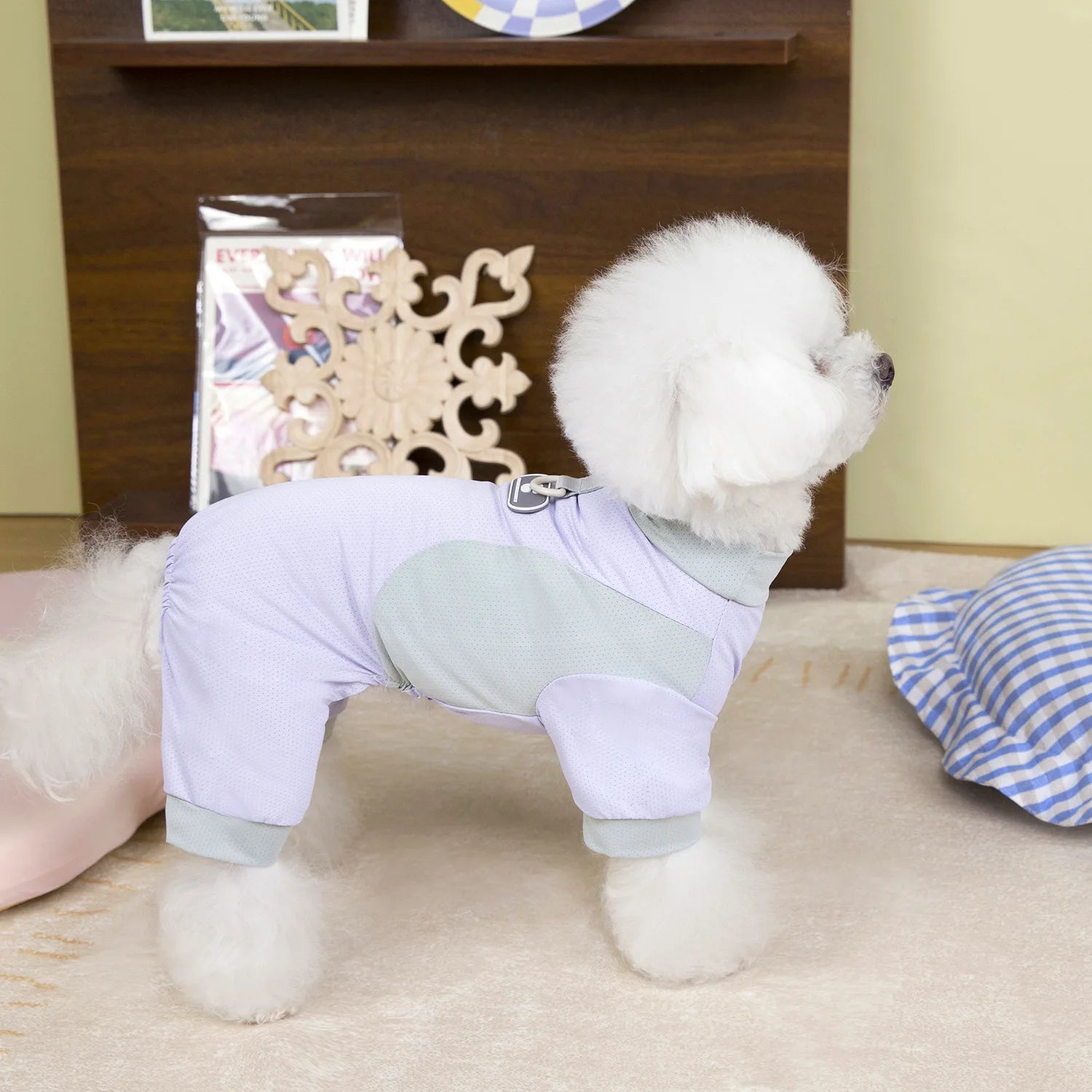 Sun Protection Four-Legged Pet Outfit