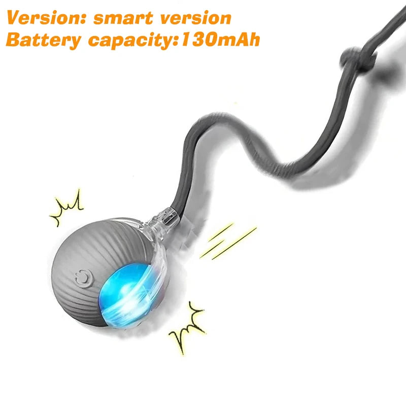 Smart Automatic Rolling Dog Ball