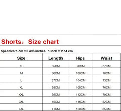 Summer Shorts Men Fast Drying Swim Shorts Breathable Net Fast Drying Surf Beach Pants Men's Fitness Pants Elastic Waist Shorts