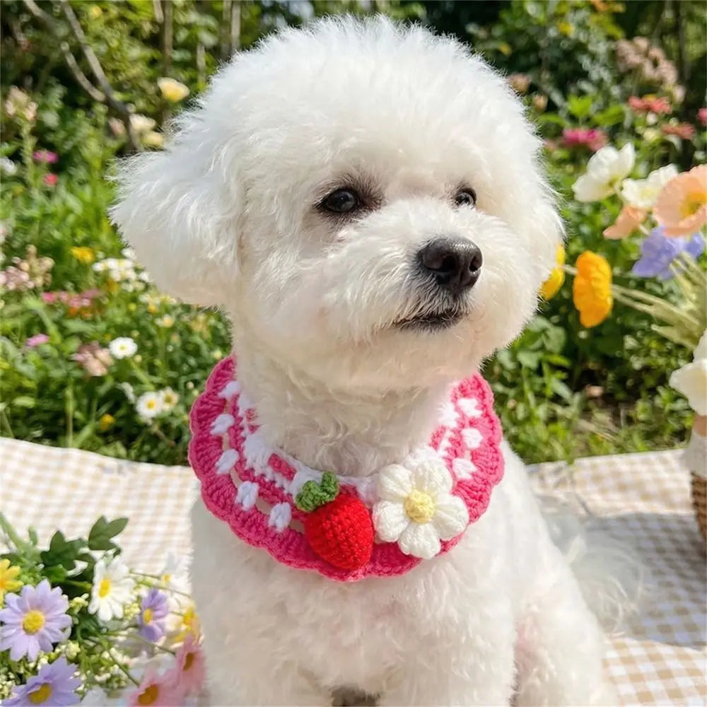 Pet Accessories Adjustable Flower Pet Scarf Bib Sweet Handmade Cat Strawberry Collar Decorative Cozy Cat Woven Bib Photo Shoots