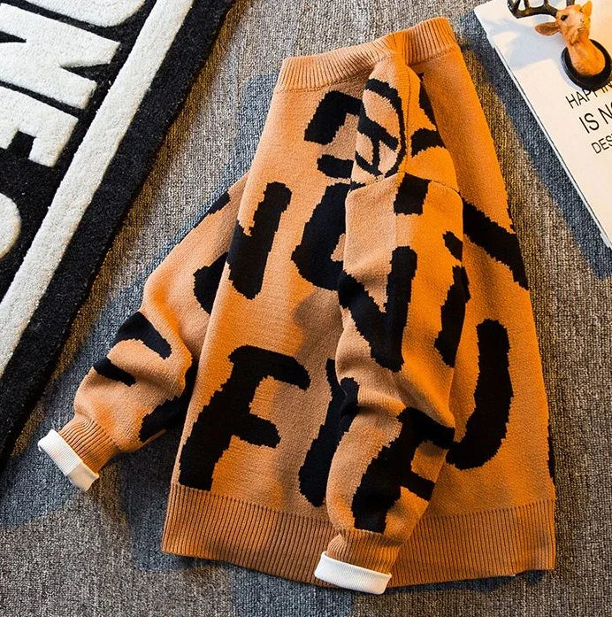 Graphic Knit Crew Pullover Sweater