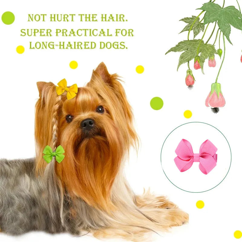 Pet Bows Dog Accessories Small Dog Hair Clips Pet Grooming Products Cat Hairpin Teddy Chihuahua Pets Supplies