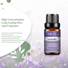 Lavender Pure Aromatherapy Essential Oil