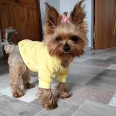 Cozy Pocket Dog Hoodie Coat
