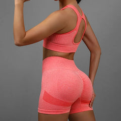 2Pcs Women Yoga Outfit Set Sports Fitness Vest Running Workout Shorts Suit Gym Training Active Wear Handmade Accessory