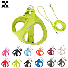 Reflective Outdoor Walking Harness Set