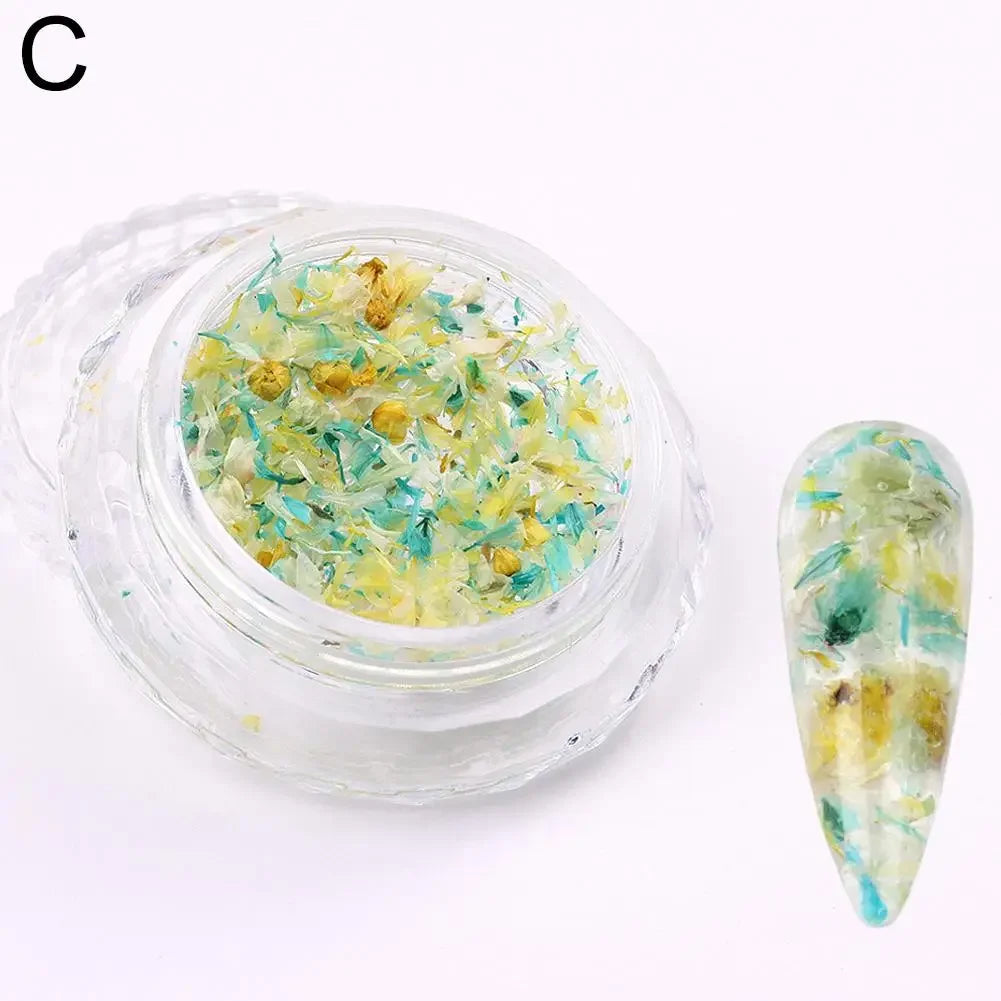 Nail Art Dried Flower Decoration Nail DIY Manicure For Nails Art Jewelry Flower Beauty Salon Decoration E3C5