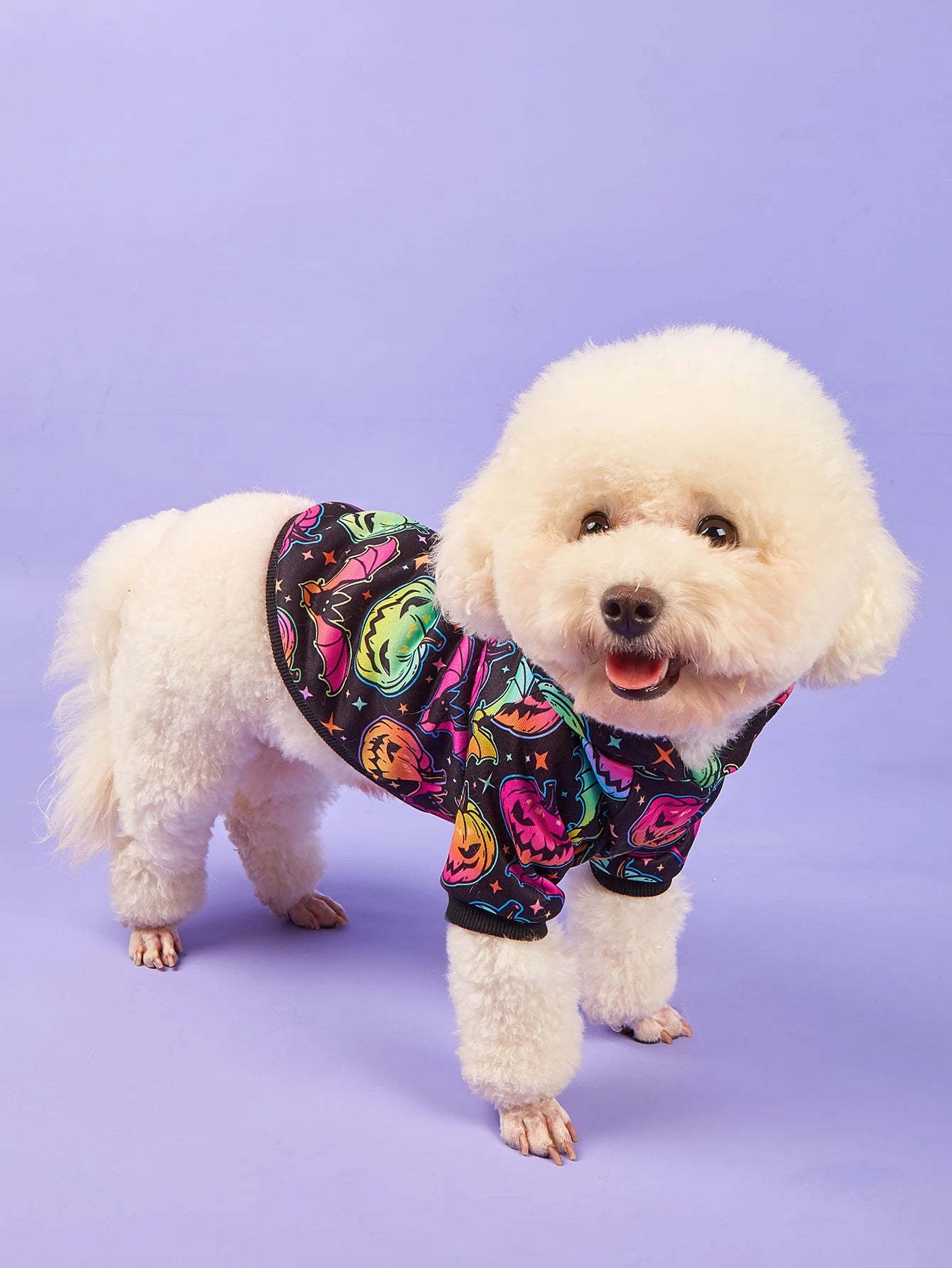 Halloween Print Pet Hoodie Sweatshirt