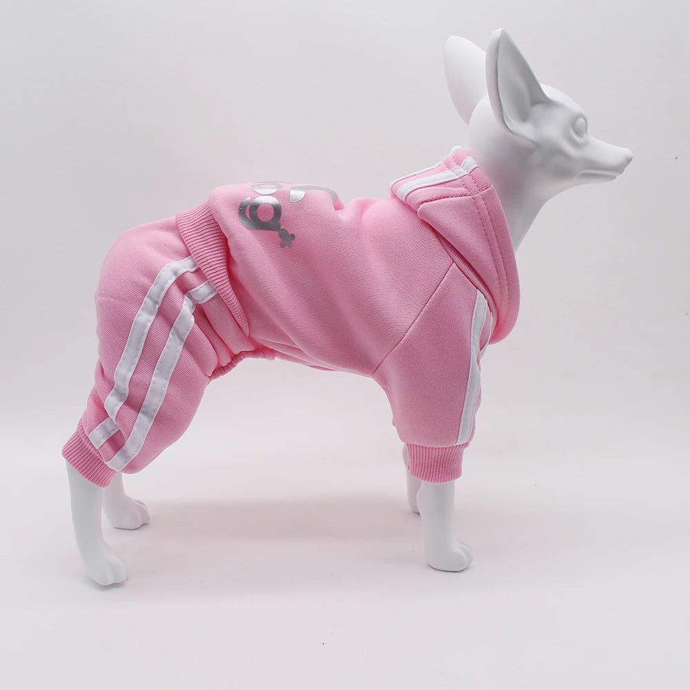 Comfortable Spring Dog Sports Suit