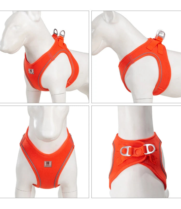 Reflective Outdoor Walking Harness Set