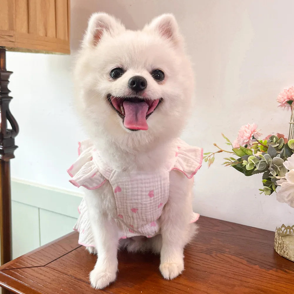 Sweet Cotton Pet Skirt Dress
