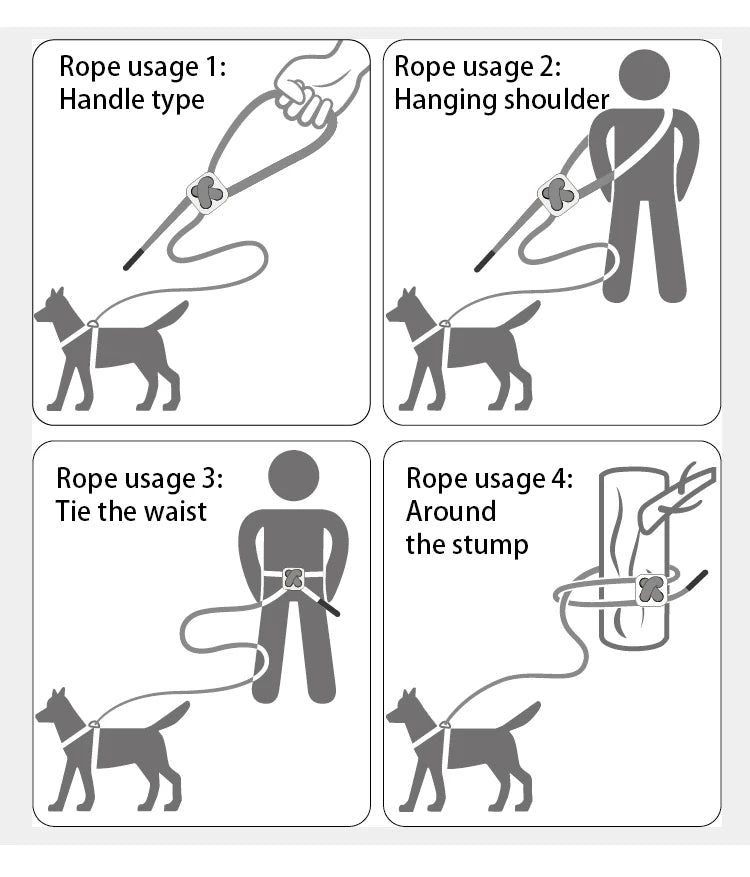 Reflective Outdoor Walking Harness Set