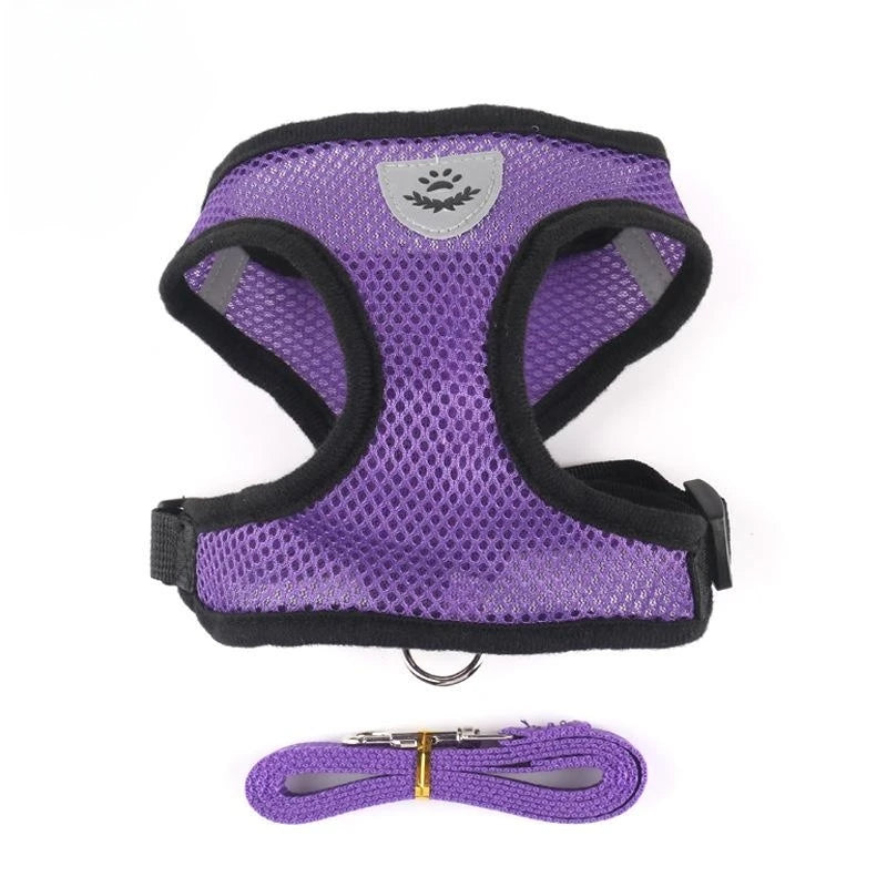 Breathable Mesh Vest Lead Leash