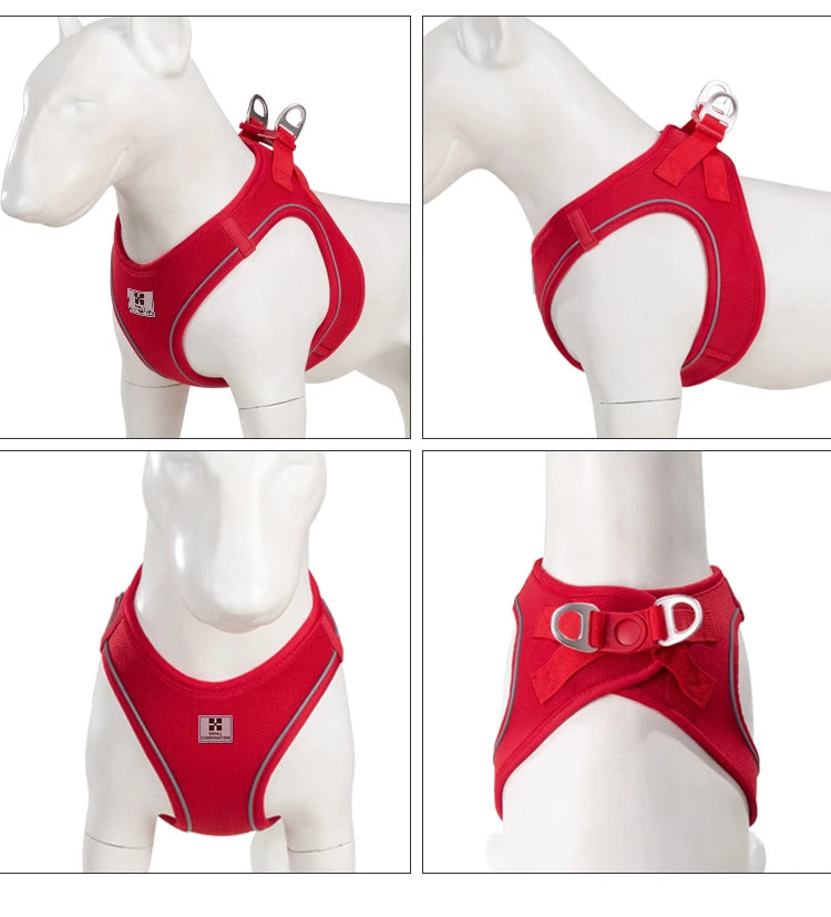 Reflective Outdoor Walking Harness Set