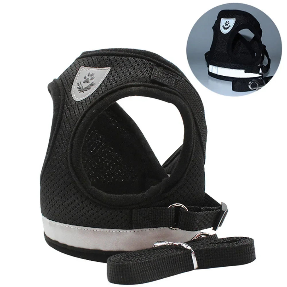 Escape-Proof Mesh Cat Harness Set