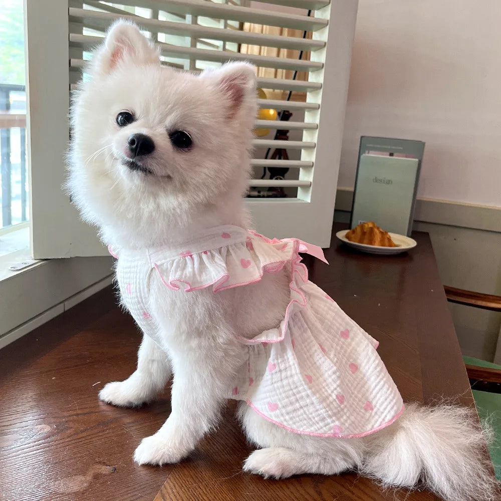 Sweet Cotton Pet Skirt Dress