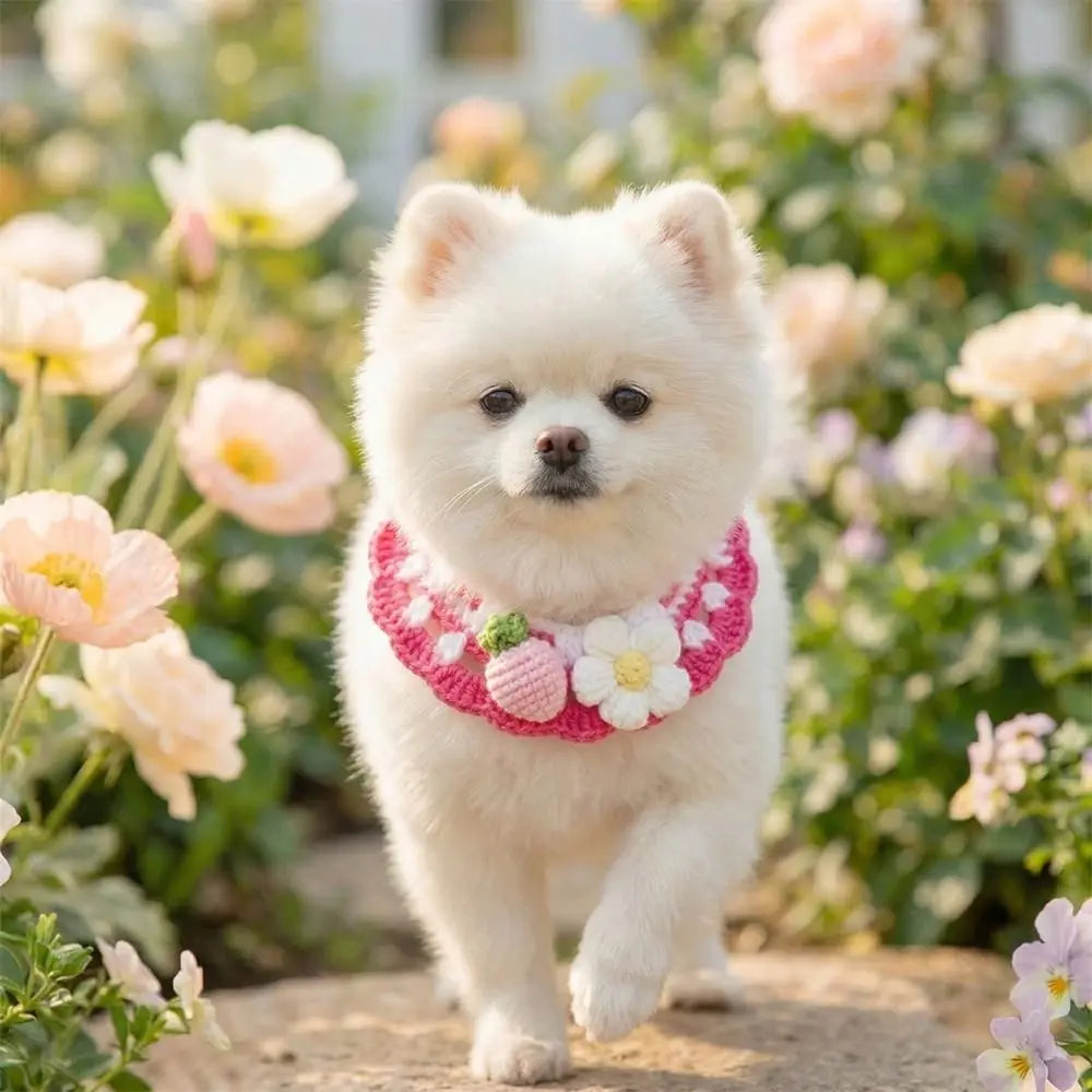 Pet Accessories Adjustable Flower Pet Scarf Bib Sweet Handmade Cat Strawberry Collar Decorative Cozy Cat Woven Bib Photo Shoots