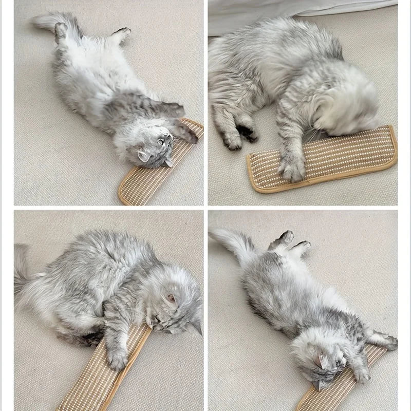 Chew Resistant Cat Scratch Pillow