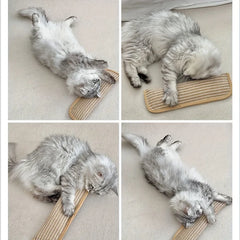 Chew Resistant Cat Scratch Pillow