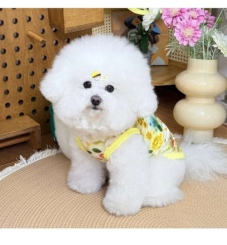 Spring pet apparel: cat & dog clothing - cartoon 3d print, teddy style, cute & breathable, anti-shedding, dropshipping available