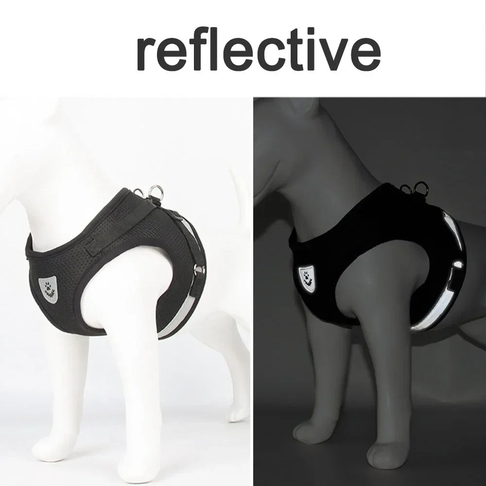 Escape-Proof Mesh Cat Harness Set