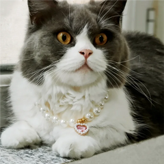 Adjustable Pet Pearl Necklace Accessories for Cats Gotas Animals Fashion Rhinestones Sphynx Cat Collar Kitten Dog collier chat