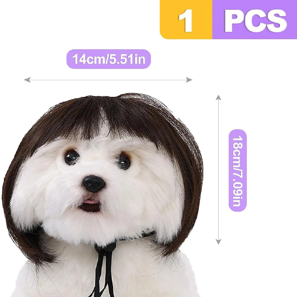Pet Wigs Cosplay Props Dog Cat Cross-Dressing Hair Set Photography Funny Props Head Accessories Prank Pet Supplies Costumes DIY