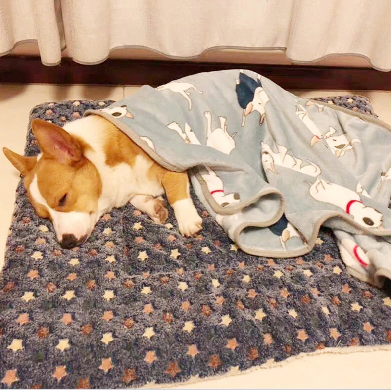 Flannel Winter Sleeping Mattress Cushion