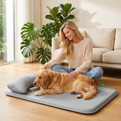 New Pet Bed with Pillow Removable and Washable Pet Mats All-Season Soft Cushion for Dogs and Cats Pet Supplies