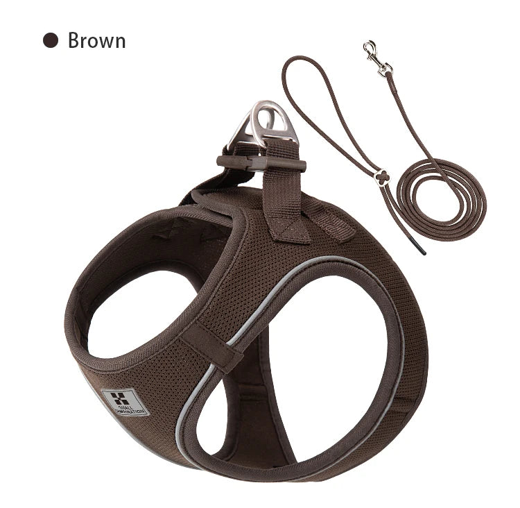 Reflective Outdoor Walking Harness Set