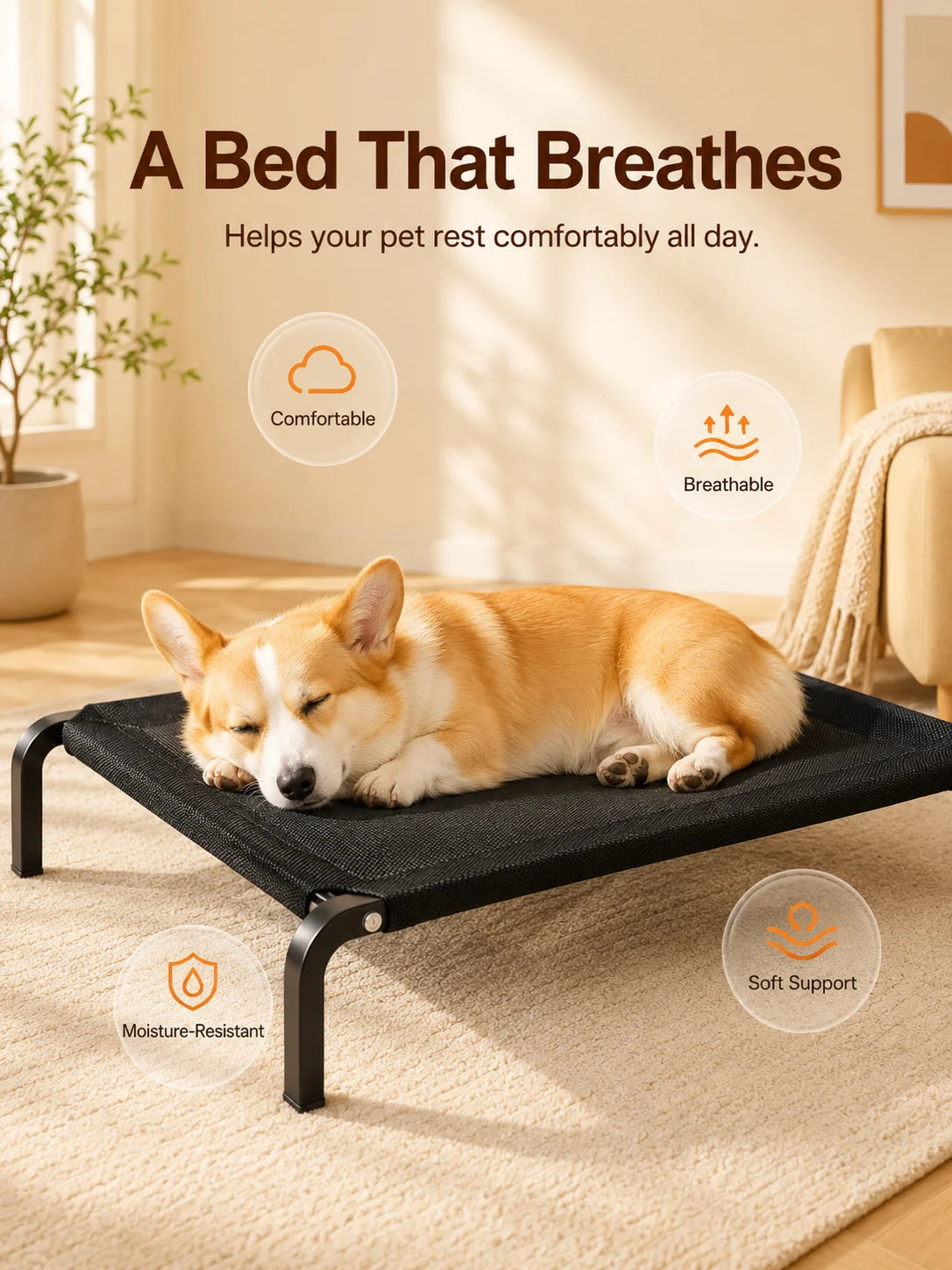 Elevated Pet Bed for Dogs, Washable Dog Bed for Small, Medium, Large & XL Puppies, Breathable Mesh Dog Bed