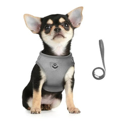 Escape-Proof Mesh Cat Harness Set