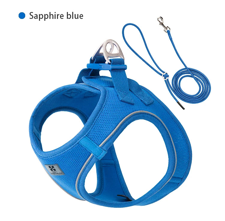 Reflective Outdoor Walking Harness Set