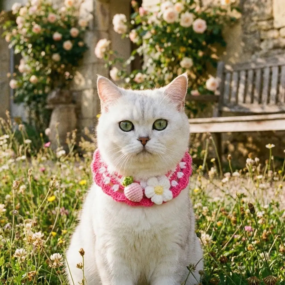 Pet Accessories Adjustable Flower Pet Scarf Bib Sweet Handmade Cat Strawberry Collar Decorative Cozy Cat Woven Bib Photo Shoots