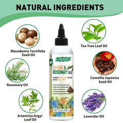 Hair Care 5pcs Rosemary & Chebe Oil Men and Women Dry Frizzy Hair Moisturize Nourish Products Chebe Butter & Powder with Serum