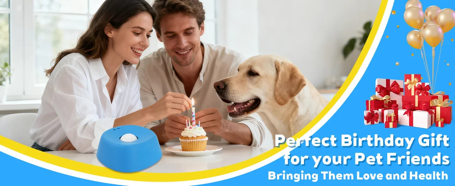 Liquid Slow Dog Bowls  Anti-slip Ball-shaped Bone Soup Dog Licking Bowl Licking Bowl for Healthy Eating Non-Slip and Anti-Chokin