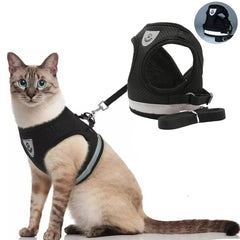 Escape-Proof Mesh Cat Harness Set
